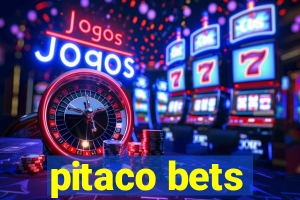 pitaco bets